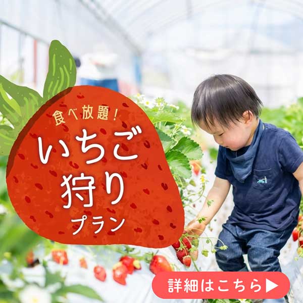 いちご狩り